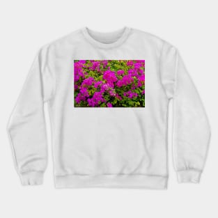 Bougainvillea and Foliage II Crewneck Sweatshirt